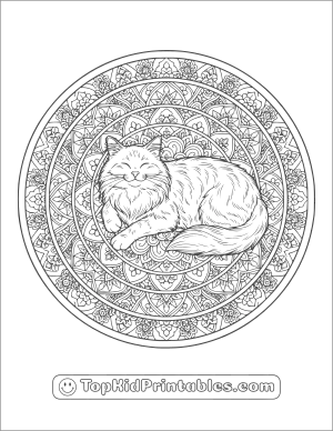 Cat mandala coloring page