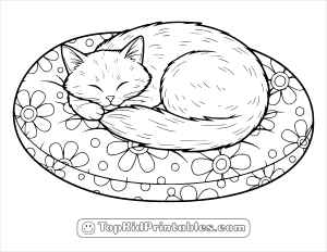 Free coloring book page of a sleeping cat